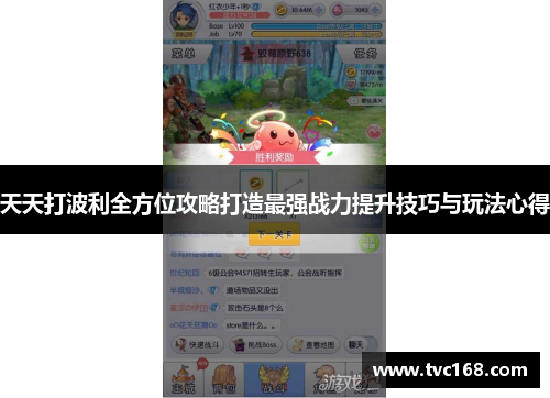 天天打波利全方位攻略打造最强战力提升技巧与玩法心得