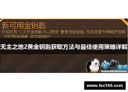 无主之地2黄金钥匙获取方法与最佳使用策略详解